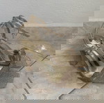  Πέδιλα χρυσαφί No 38