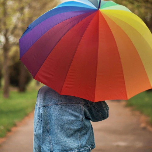 Legami Milano Umbrella with Cane Multicolor New