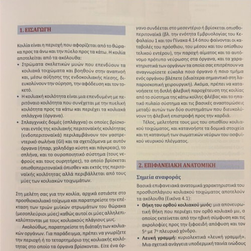 Netter's Clinical Anatomy and Neuroanatomy book new