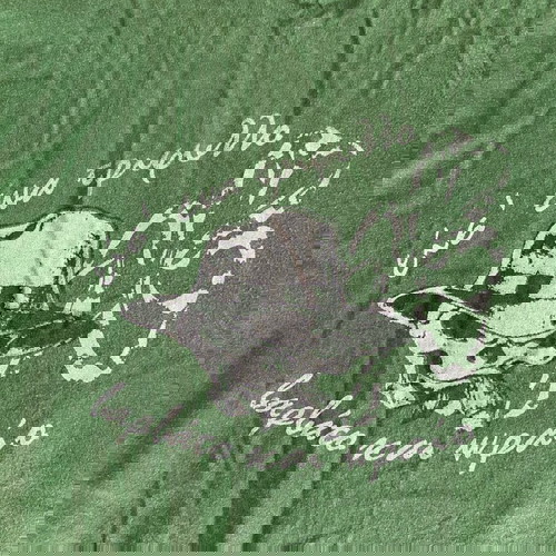 T-shirt Παναθηναϊκός μεταχειρισμένο αυθεντικό XL κοντομάνικο