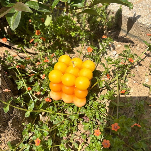 Bubble Cube Candle Pop Style new, orange