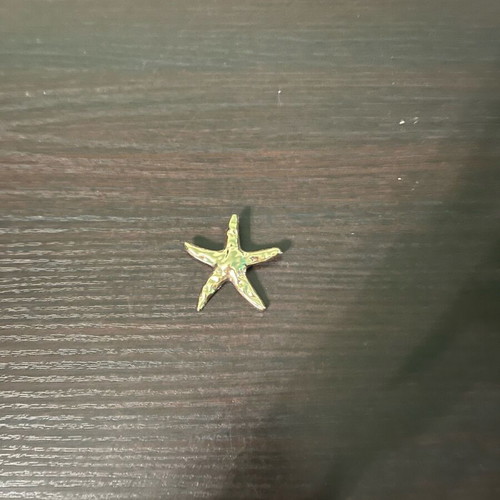 Star-shaped pin gold color like new