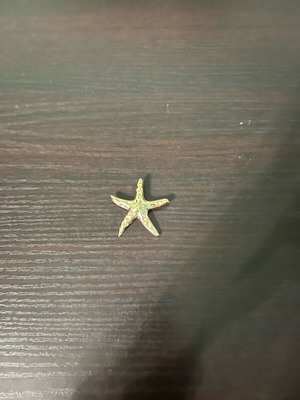 Star-shaped pin gold color like new