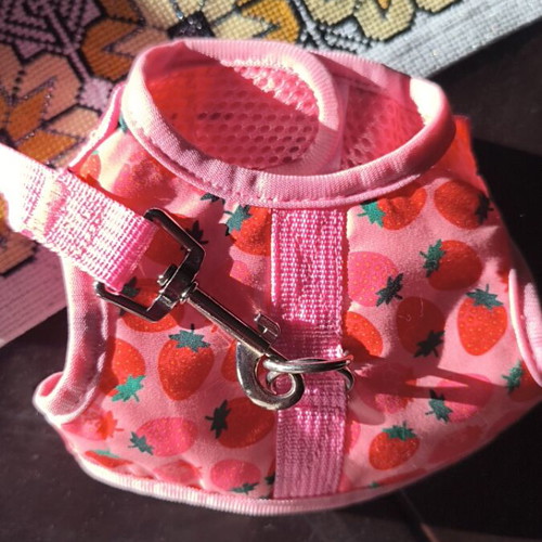 Small harness new