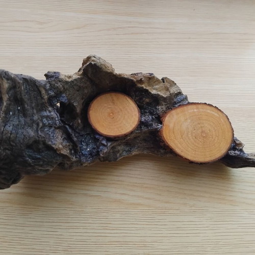 Handmade double candlestick from natural driftwood