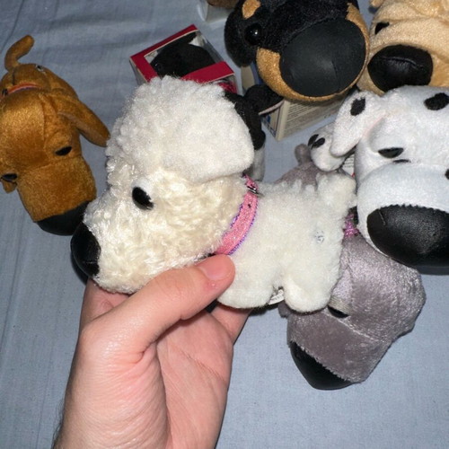 Eaglesmoss dog collection like new