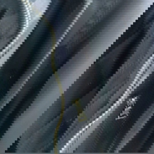 Якето Guodil