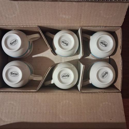 Vintage Daisy Italy tea cup set of 6, new ironstone