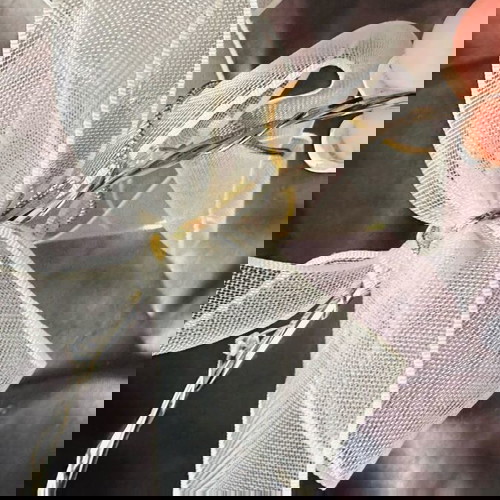 Στέφανα γάμου καινούργια με πλεκτό σχέδιο, χάντρες και χρυσή αλυσίδα