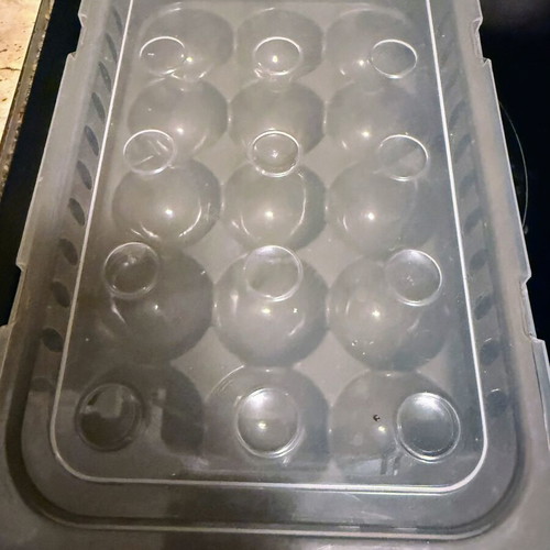 Egg Tupperware container new