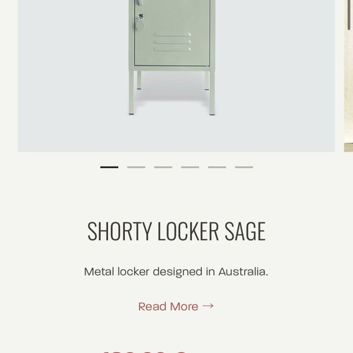 Shorty locker sage color