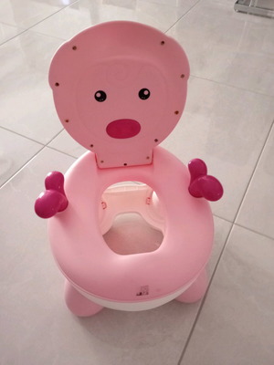 Potty used