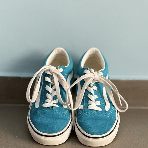 Vans Old School size 35 with suede and leather, like new