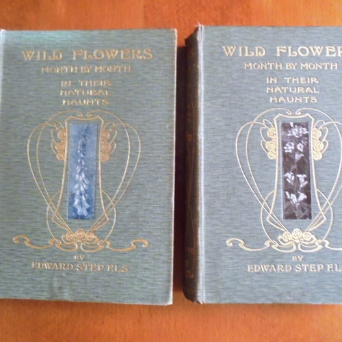 Wild Flowers Month by Month in Their Natural Haunts used, two volumes