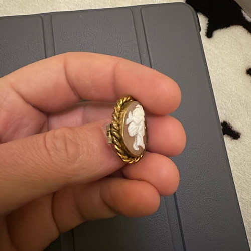 Cameo pin used with genuine design