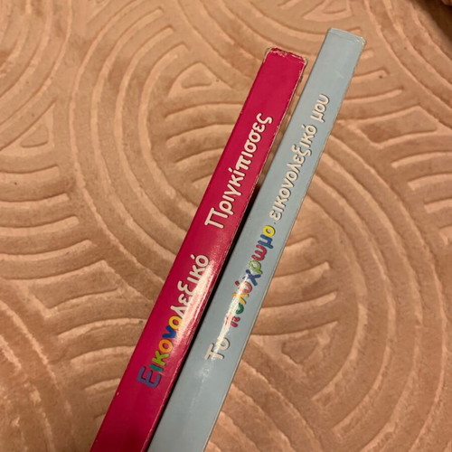Picture dictionaries like new, 2 books together