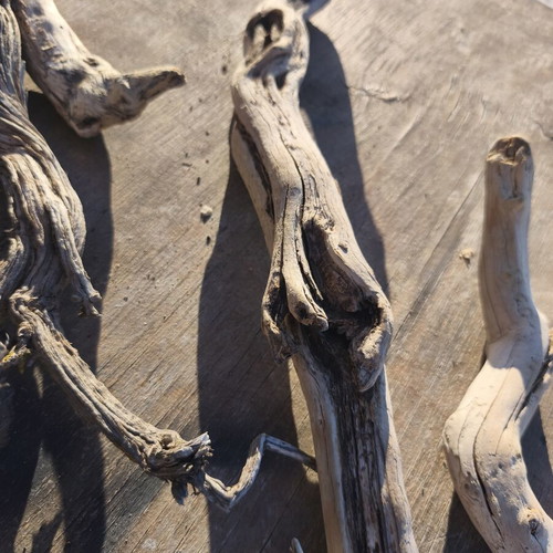 Driftwood for artists, pack of about 80 pieces, natural