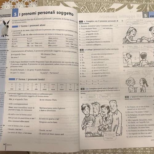Grammaire facile du français language learning book used, Italian edition
