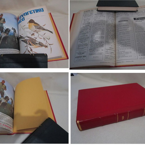 Hunting Magazine Kynigetika Nea 1975, 12 bound issues, used
