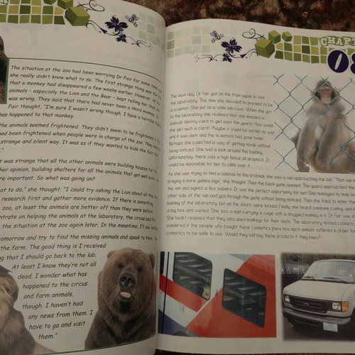 The Outsiders Level B1 used English language book