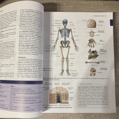 Sobotta Anatomy with Color Atlas 1st Greek Edition new academic book