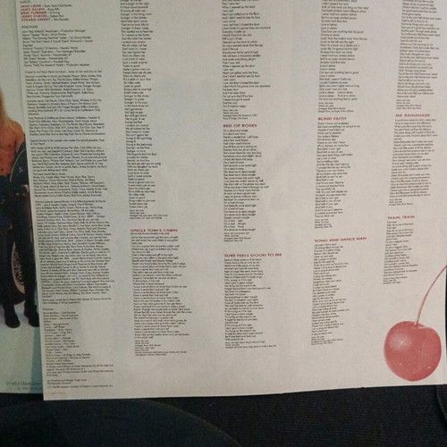 Warrant Cherry Pie vinyl used, metal