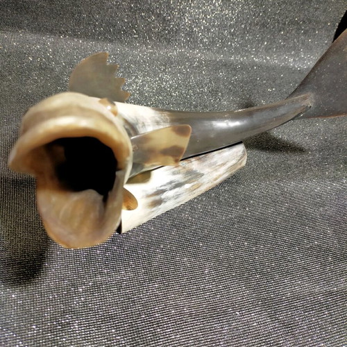 Decorative fish used