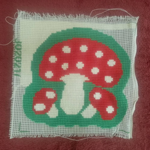 Mushroom embroidery used, 80% completed crochet on 40x40 cm canvas