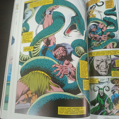 The Chronicles of King Conan Vol#1 graphic novel like new