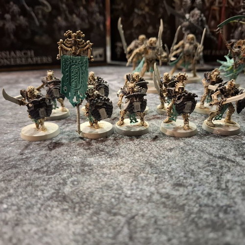 Ossiarch Bonereapers Army used, complete set