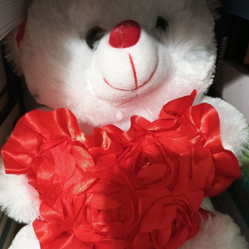 Teddy bear new with red heart