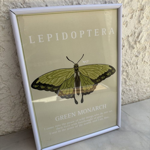 Butterfly art prints used, framed 30x20cm with poetic texts