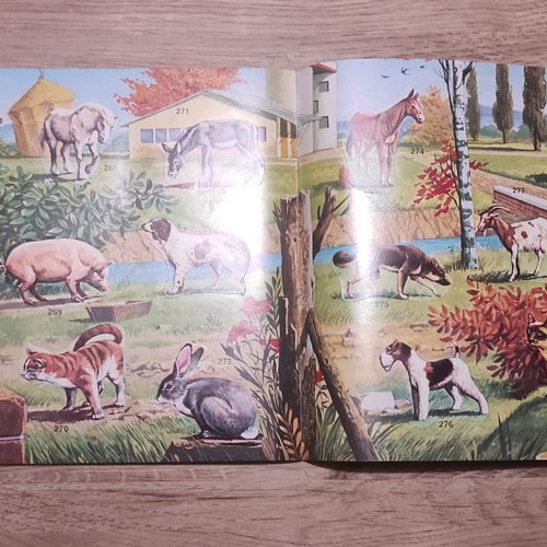 Panini Super Zoo 1975 album used, completed