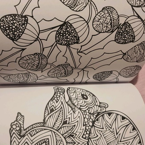 Mandalas Adult Coloring Book The Animal Kingdom like new