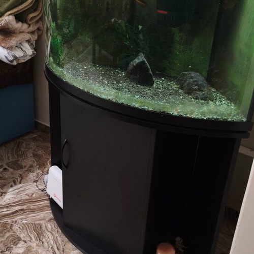 Corner aquarium 160 liters with fish, complete setup