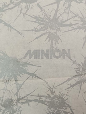 Minion gift wrapping paper used