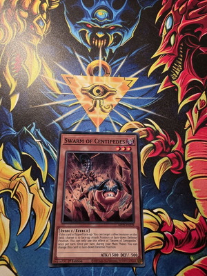 Swarm of Centipedes 1st edition like new