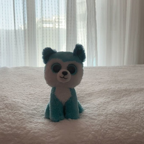 Kids dog toy like new, blue