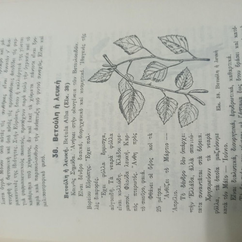 The Medicinal Herbs of Greece book used, 1978 edition