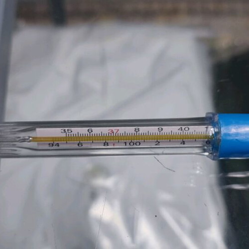 Classic thermometers pack of 12, new