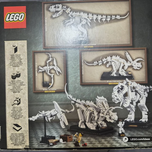 Lego Ideas 21320 Dinosaur Fossil like new, missing Trex