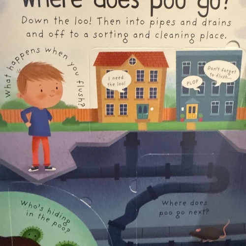 First Questions and Answers: Where Does Poo Go? new children's book in English