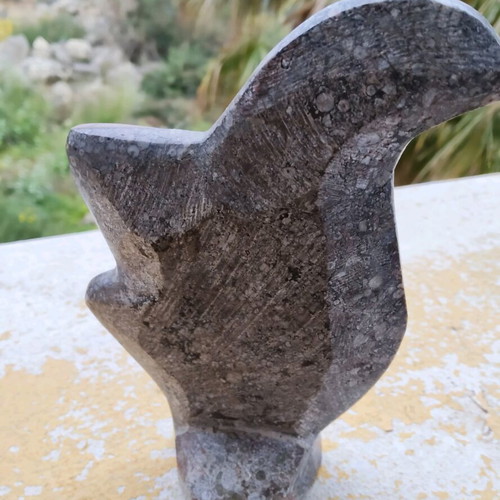 Stone sculpture with orthoceras and ammonite new