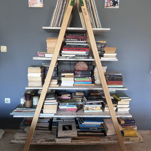 Custom handmade bookcase with wooden ladder and removable shelves, used