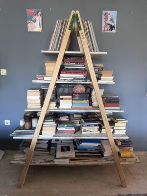 Custom handmade bookcase with wooden ladder and removable shelves, used