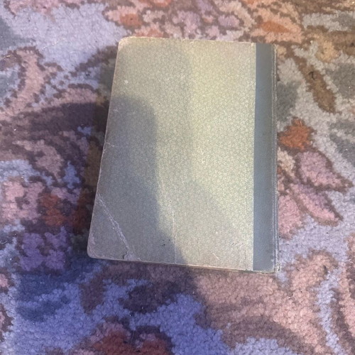 The Lady with the White Horse used book from 1923