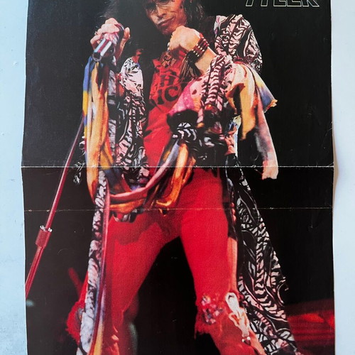 Steven Tyler Aerosmith Billy Idol poster used 21cm x 28cm