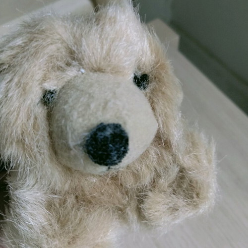 Pair of small stuffed dogs like new