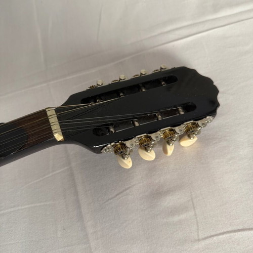 Bouzouki with case and pick like new