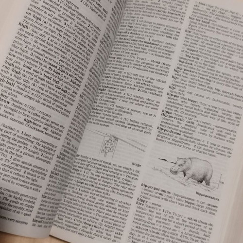 Oxford Advanced Learner's Dictionary illustrated, like new